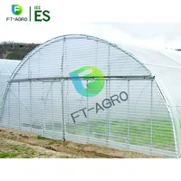 Economical tropical galvanized tube Africa greenhouse modular greenhouse for commercial