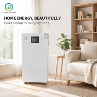 Batterie solaire murale LiFePO4 48V 200Ah 10,24 kWh avec BMS pour stockage d'énergie domestique