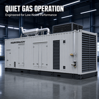 Groupe électrogène au biogaz haute puissance 1200 kW 1500 kVA haute efficacité, type conteneur
