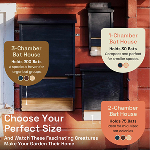 Tùy Chỉnh Bằng Gỗ Bat Nhà Cho Ngoài Trời Lớn Ba Phòng <span class=keywords><strong>H</strong></span>ộp Buồng Gỗ Bat Nhà Kit Cho Dơi Để Đất Và Roost - Product Image 5