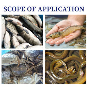 Phụ gia thức ăn nuôi trồng thủy sản EM Probiotic với vi khuẩn axit butyric ngăn ngừa phân trắng & cải thiện sức khỏe đường ruột ở tôm, cá, cua - Product Image 4