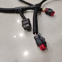 Groupe de câblage du module de commande ECM CH11985 pour pièces d'équipement Perkins 2306 2506 2806 Faisceau de câblage du moteur