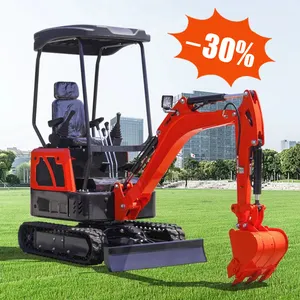 Strength Factory Cheap Small Crawler Type 2 Ton 3 Ton Garden Engineering Farm Mini Excavator For Various Terrains