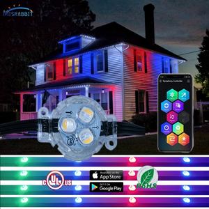 Luci a Punto RGBW Ws2811 100mm 12V IP68 per Decorazione Esterna Commerciale di Edifici, Luci LED a Medusa per Natale - Product Image 1