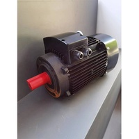 Moteur de pompe vertical triphasé YE3 100L-2 2900 tr/min Boîtier en aluminium Moteur à induction pour pompe à eau