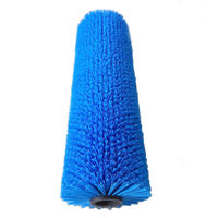 Balayeuse Johnston VT651 avec brosse à rouleaux en poils PPN bleus