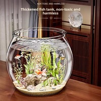 Aquarium en plastique transparent, résistant aux chocs, incassable, mini aquarium de bureau, aquarium pour tortues, nano aquarium, pour la maison et le bureau