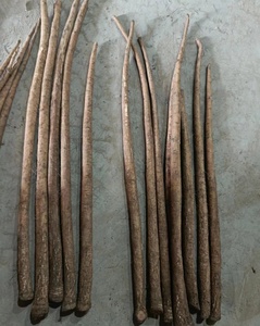 Cây ngưu bàng Trung Quốc cây ngưu bàng tươi - Product Image 4