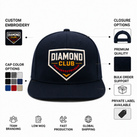 Gorra de béisbol para pedidos al por mayor, de poliéster/algodón, 6 paneles, visera curva, bordado de Home Plate, paquete minorista, para adultos, deportiva, personalizada, estilo urbano