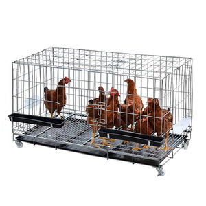 Grande gabbia pieghevole in acciaio per pollaio con copertura nuova condizione maglia da esterno per gallina per cortile fattoria - Product Image 2