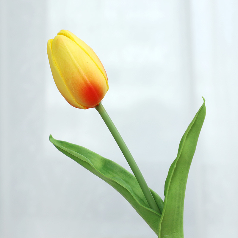 Orange Red