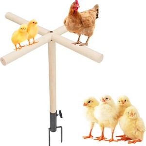 Wooden <b>Bird</b> Perch <b>Stand</b> Outdoor Chicken Toy Medium Large Parrot Perch Stick Durable Round Shape Modern Simple Design - Product Image 3