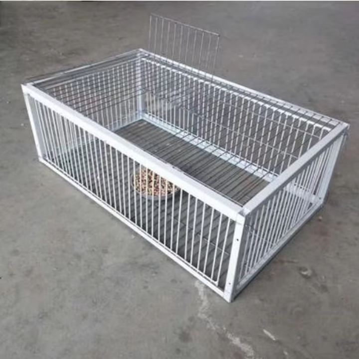 捕鸟器Pigeo可折叠镀锌鸽子鸟笼捕鸟器，单向入口人道方式诱捕鸽子和鸽子| Alibaba.com