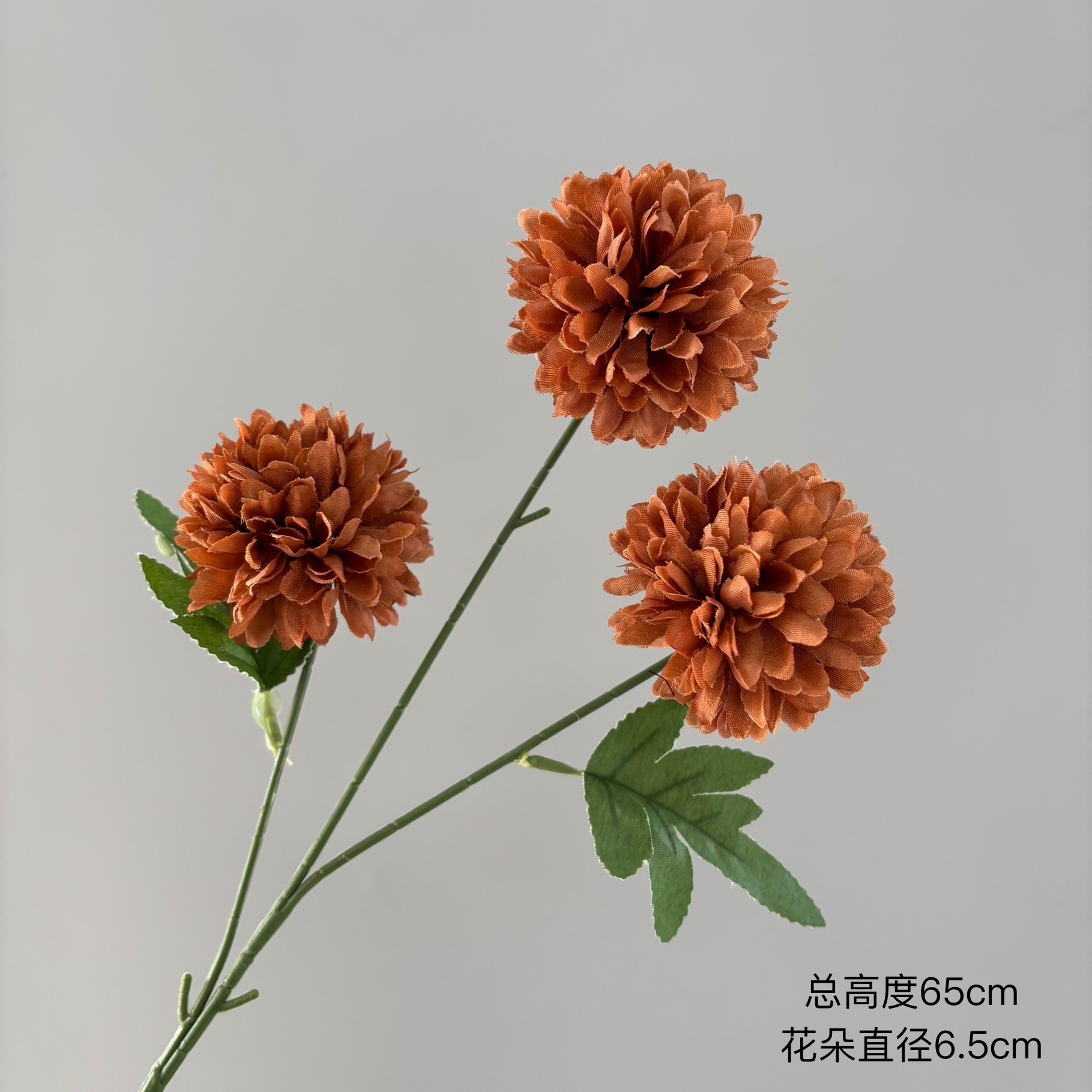 chrysanthème à 3 têtes