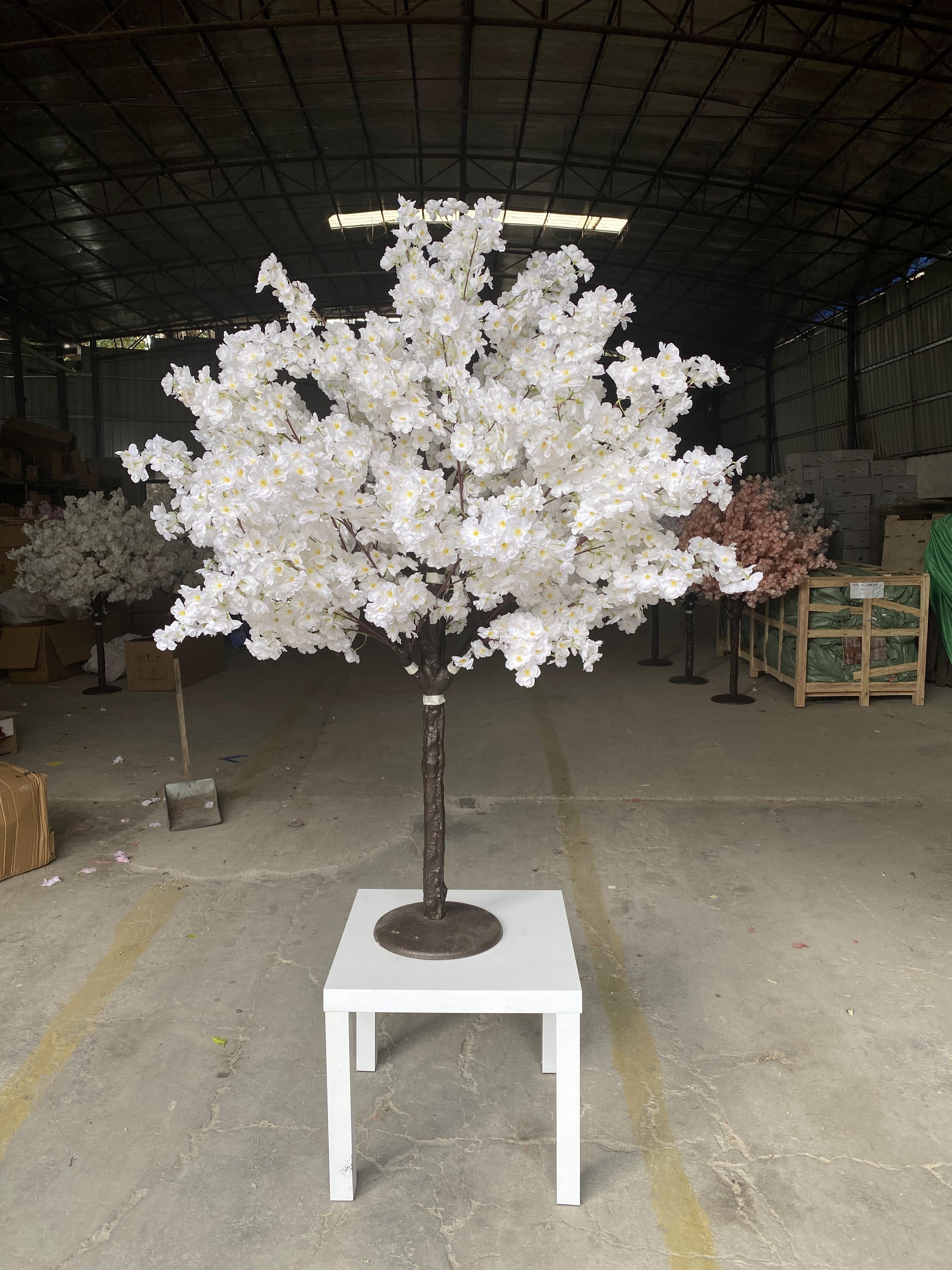 Arbre à fleurs de cerisier blanc crème, étamines jaunes