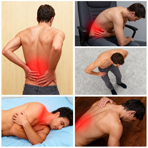 Curelas Dual-Wellenlängen 810nm 980nm Veterinär-Physikalische Lasertherapiegerät für Mensch und Tier zur Schmerzlinderung - Product Image 2