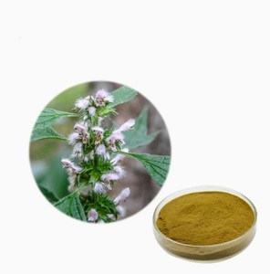 Chất lượng cao <span class=keywords><strong>leonurus</strong></span> chiết xuất motherwort chiết xuất Yi mu cao bột - Product Image 1