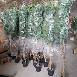 Plantes presque naturelles en plastique, arbre banian, bonsaï artificiel, bonsaï artificiel à vendre - Product Image 5