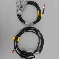 Câble d'entrée de charge rapide DWI DJ Brand T50/T25P, accessoires pour drones agricoles en plastique et métal, moulage privé fabriqué en Chine GUA