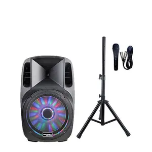 Accuracy Powerful Amplifier Active Speaker Pro Audio Professional Audio 15'' Powered Speaker System