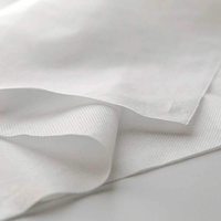 Vente en gros de tissu non tissé agricole écologique réutilisable anti-pilule résistant à la déchirure pour la protection des cultures agricoles