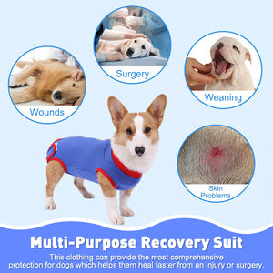 Famicheer Dog Post Medical Castration Recovery Suit Dog Body para cirugía Moda Mujer Ropa Abrigos y chaquetas estampadas CN;ZHE - Product Image 4