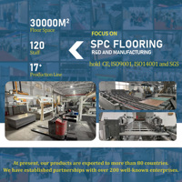 Plancher rigide de luxe de noyau de Chevron SPC de chevrons/tuile de vinyle PVC antidérapage de 3mm pour des hôtels et des hôpitaux