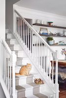 Bande de roulement et contremarche d'escalier blanche apprêtée
