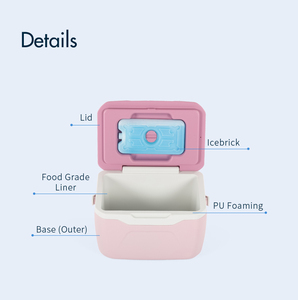 Nevera Portátil Pequeña para Camping, 5.5L 10L 20L, Alta Retención de Hielo para Excursiones y Picnics - Product Image 5