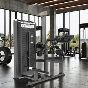 Équipement de fitness de qualité supérieure pour la musculation du dos et des abdominaux, machines à sélection de charge par broche L-8013A pour salles de sport - Product Image 2