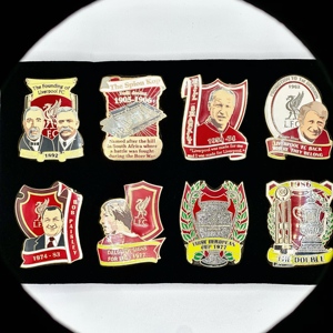 中国金属工艺品翻领别针徽章定制纪念品定制足球队硬质搪瓷别针徽章 - Product Image 2