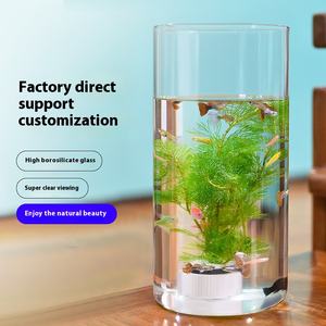 उच्च ग्रेड पारदर्शी ग्लास <span class=keywords><strong>vase</strong></span> सूक्ष्म परिदृश्य पारिस्थितिक हाइड्रोपोनिक बोतल शादी के लिए सरल प्राचीन डिजाइन - Product Image 2