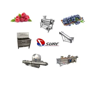 Linha de produção geral de suco de frutas linha de produção de suco de frutas natural linha de produção de suco de frutas de operação fácil
