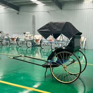 Bicicleta Rickshaw Clásica de 2 Ruedas de Alto Rendimiento y Gran Demanda, Accionada Manualmente - Product Image 6