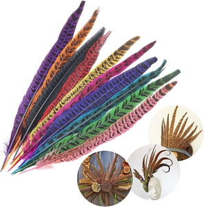 Plumes de faisan Ringnick colorées pour l'artisanat, l'embellissement de coiffes, les plumes cérémonielles, les accessoires de mariage et de festival - Product Image 2
