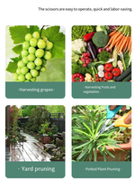 Sécatrices de jardin robustes en acier inoxydable SK5 avec poignée en fonte pour l'élagage des arbres fruitiers et l'aménagement paysager