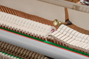 Đàn Piano Thẳng Đứng Cơ Học Đàn Piano Thẳng Đứng Giá Xuất Xưởng Dạy Tại Nhà Chơi Đàn Piano 88 Phím - Product Image 6