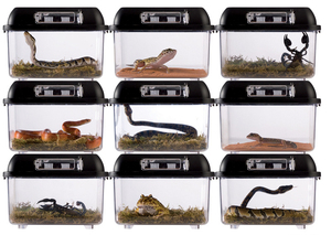 Vente de gros Cages pour Reptile Terrarium - Product Image 2