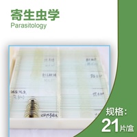 21 pcs for medical school Parasitology slides, Human parasitolgy slides , Biology parasitolgy slides