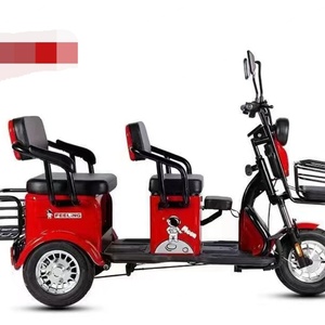 Triciclo Eléctrico Chino de 3 Ruedas para Adultos, 750W/500W, con Neumáticos Anchos, para Carga, Venta al por Mayor - Product Image 5