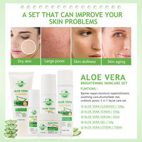 Kit de Soins Naturels Végétaliens pour la Peau : Gel d'Aloe Vera, Acide Hyaluronique, Soin Visage Éclaircissant, Hydratant et Contrôle du Sébum – Ensemble Complet Aloe Vera