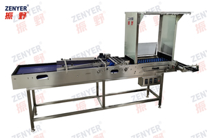 2025 ZENYER 104BZ, мелкомасштабный грейдер для яиц из нержавеющей стали, электронное взвешивание с емкостью 10000 с обработкой яиц 4 сортов - Product Image 2