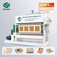 Machine à plateaux à œufs en pâte à papier WS 4-8, 4000-5000 pièces/h, haute capacité, facile à utiliser