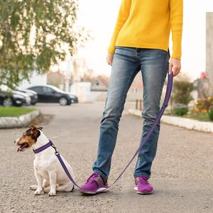 ไมล์ชีวิตสูง | ชุดสุนัขขนาดกลางขนาดเล็กสะท้อนแสง, ชุดสายจูงปรับได้ (แถบสะท้อนแสงสีม่วง, ใหญ่ (แพ็คละ2ชิ้น)) - Product Image 3