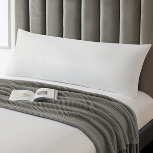 <span class=keywords><strong>Almohada</strong></span> Corporal Esponjosa para Adultos (Blanca, 20 x 54 Pulgadas), <span class=keywords><strong>Almohada</strong></span> Larga para Dormir, Ideal para Dormir de Lado - Product Image 1