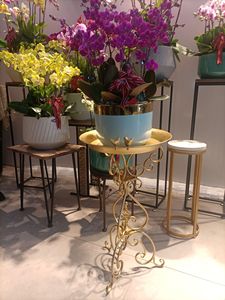 Grande sélection d'objets artisanaux en <span class=keywords><strong>métal</strong></span> de style américain, supports à <span class=keywords><strong>fleurs</strong></span> vintage d'<span class=keywords><strong>extérieur</strong></span> à un seul support, mangeoires à oiseaux, décorations pour villa/jardin - Product Image 1