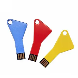 Gift Metal Key Shape usb stick Memory Stick Key U Disk Thumb Drive Webkey with keychain 32GB Key USB Flash Drive