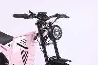 Vélo de montagne à pneus larges de 20 pouces, moteur arrière sans balais, 48V 500W, batterie au lithium 13Ah, 7 vitesses, neige, 43 km/h, freins à disque hydrauliques