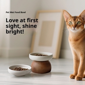 Tigela Moderna para Animais de Estimação em Cerâmica, Porcelana e Plástico Não Tóxico, Impermeável, para Cães e Gatos, com Efeito Craquelado, para Ração Úmida, 2 em 1 Portátil - Product Image 2