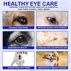 מזון לכלבים עם תוספי תזונה לתמיכה בראייה ובריאות העיניים, בטעם אוכמניות, במחיר תחרותי. - Product Image 3